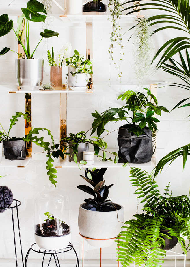 绿植店