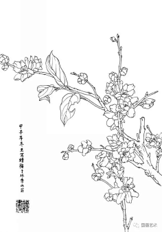 相思阙采集到满天星