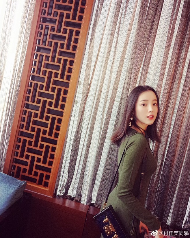 付佳美