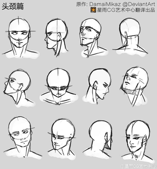 结构头颈肩正面半侧面侧面俯视仰视