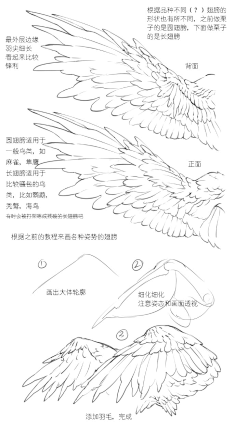 j 绘教程(姿体)