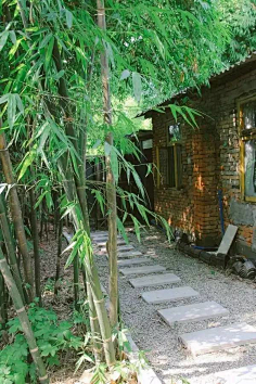 中式庭院竹林