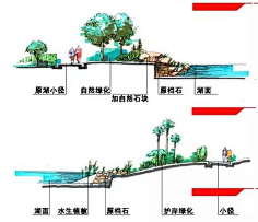 驳岸设计-花瓣网|陪你做生活的设计师 | 剖面分析图