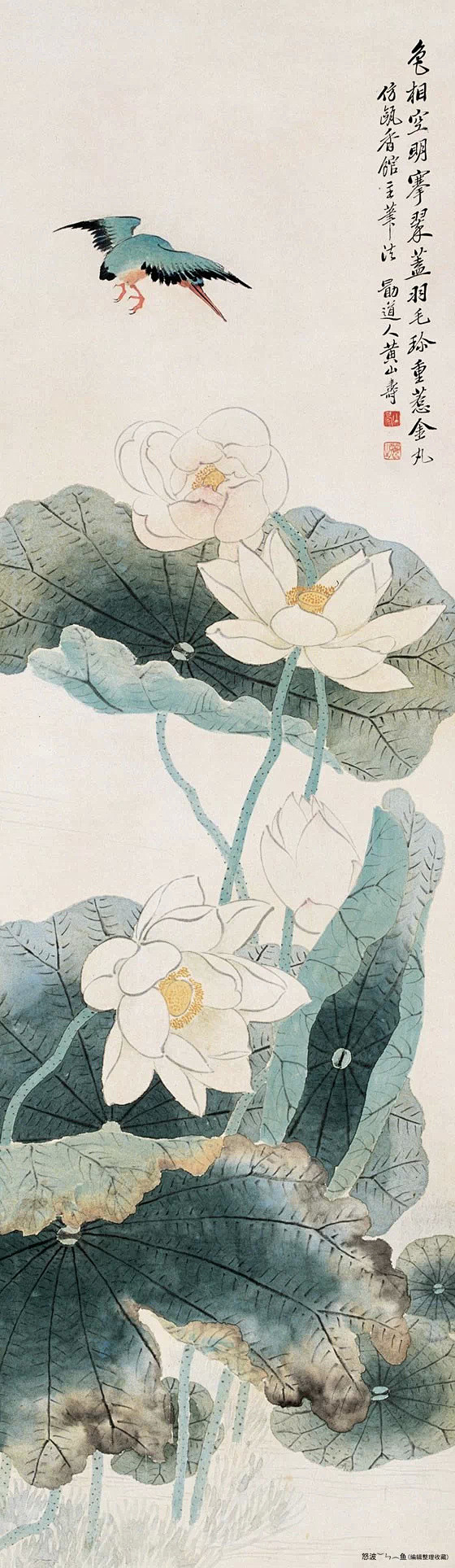黄山寿花鸟作品