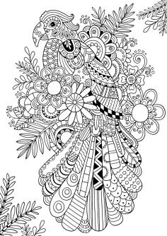 黑白花纹