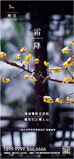 寒露 霜降 重阳节