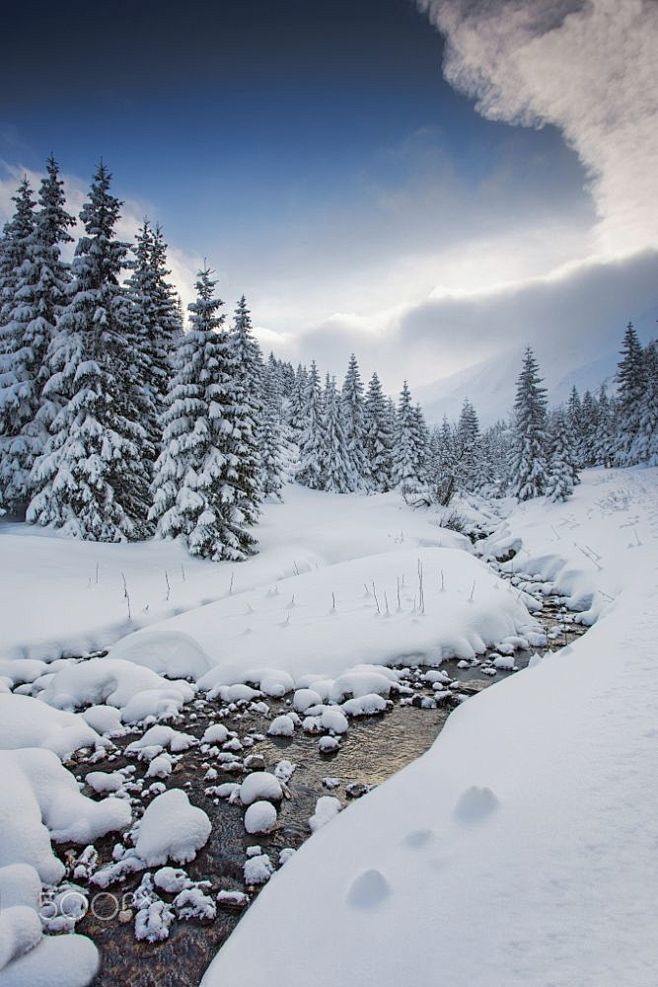 冬天冬季雪景雪山