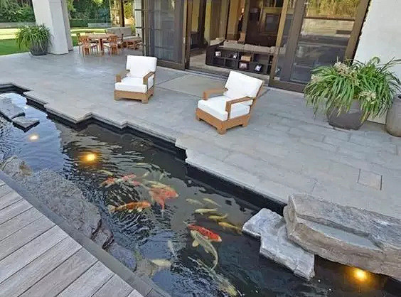 庭院鱼池
