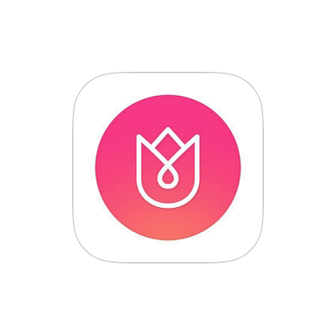 启动图标# #应用图标# #logo# #app# 采集@蓝迪june