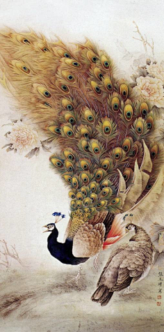 工笔画-花瓣网|陪你做生活的设计师 | 喻继高 花鸟欣赏