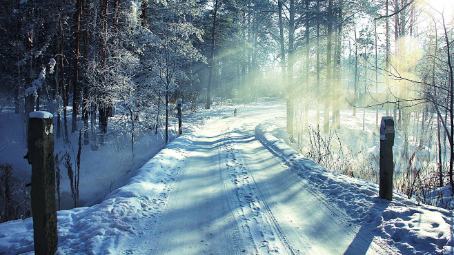 白雪覆盖的林间小路冬天雪景桌面壁纸