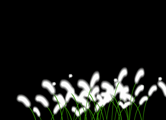 芦苇