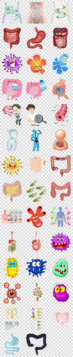 手绘肠道肠胃消化系统海报素材png背景 透明 免抠 元素 格式 设计