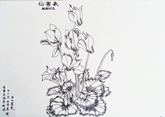 植物-花瓣网|陪你做生活的设计师 素材-淘宝网banner idea 画册设计