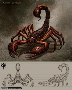 生物虫族