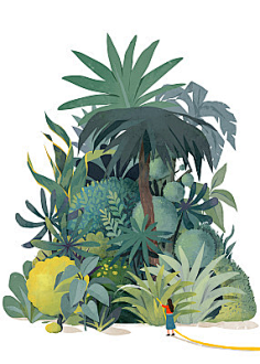 com 扁平风插画热带植物 大花1111 采集到 1