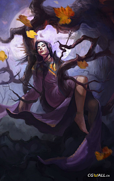 cn 火焰女战士 cgwall.