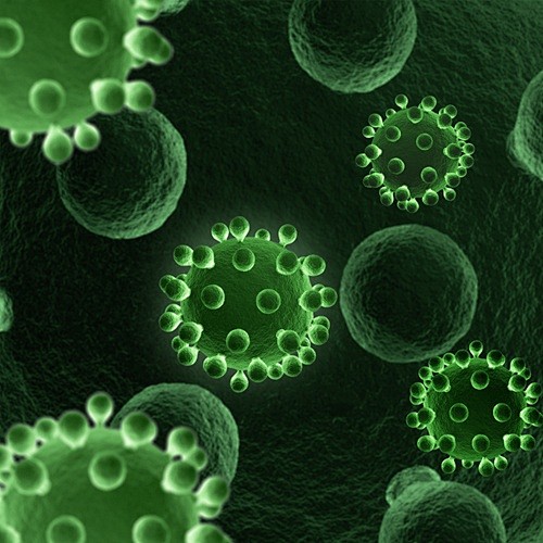 血小板细菌病毒胞杆菌孢子蛋白毒素医疗显微镜高清图片ps设计素材淘宝