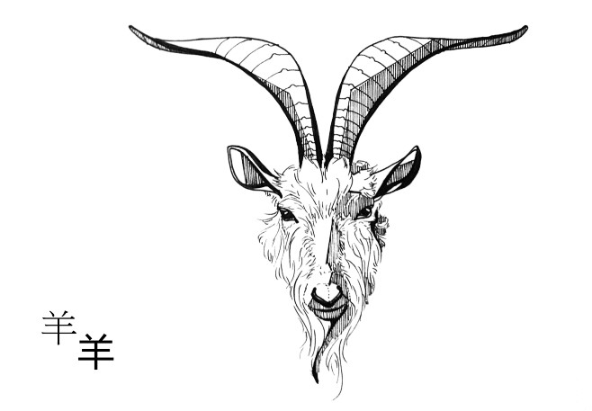 手绘十二生肖羊