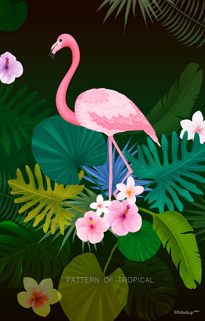 热带植物花卉火烈鸟夏日主题插画设计psd平面设计绘画插图