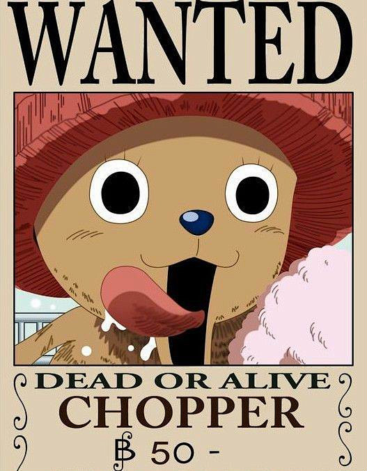 《海贼王》乔巴通缉令