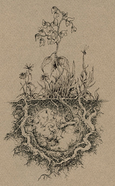so 【【线描作品】socar myles 国外大师作品 32例】 hui.so