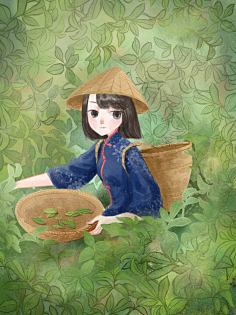 采茶插画