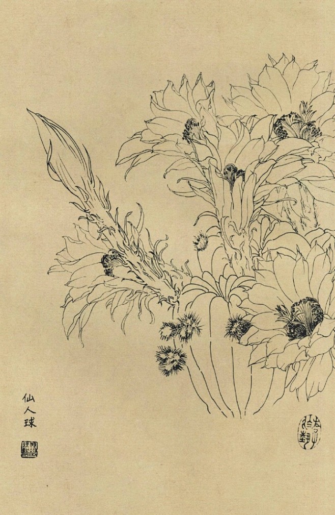 古风联盟网的照片 - 微相册