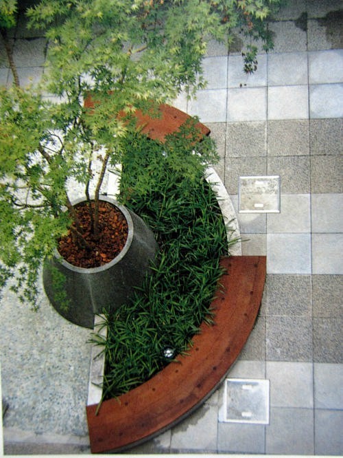 树池