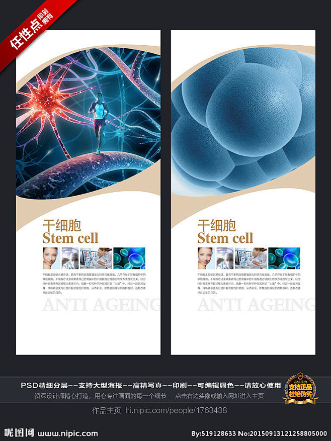 干细胞抗衰老psd格式