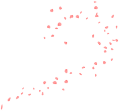 逸采集到花花瓣 素材 png素材 玫瑰花瓣 樱花 桃花 飘落 飘洒 散落