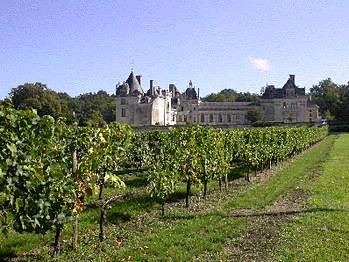 拉图酒庄,法国十大红酒产地之一,所产拉图酒名