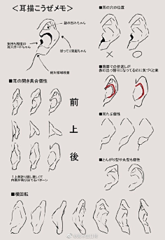 致良知的漫画人采集到耳朵