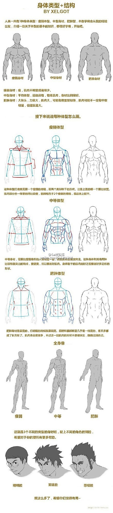 sai资源库动漫人你男性不同身材的体型和肌肉结构简单粗暴的分析自己