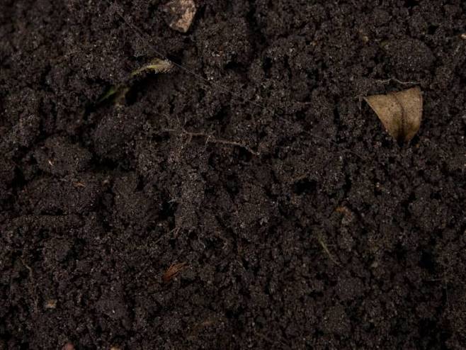 潮湿的土壤土壤黑色的土壤土壤纹理