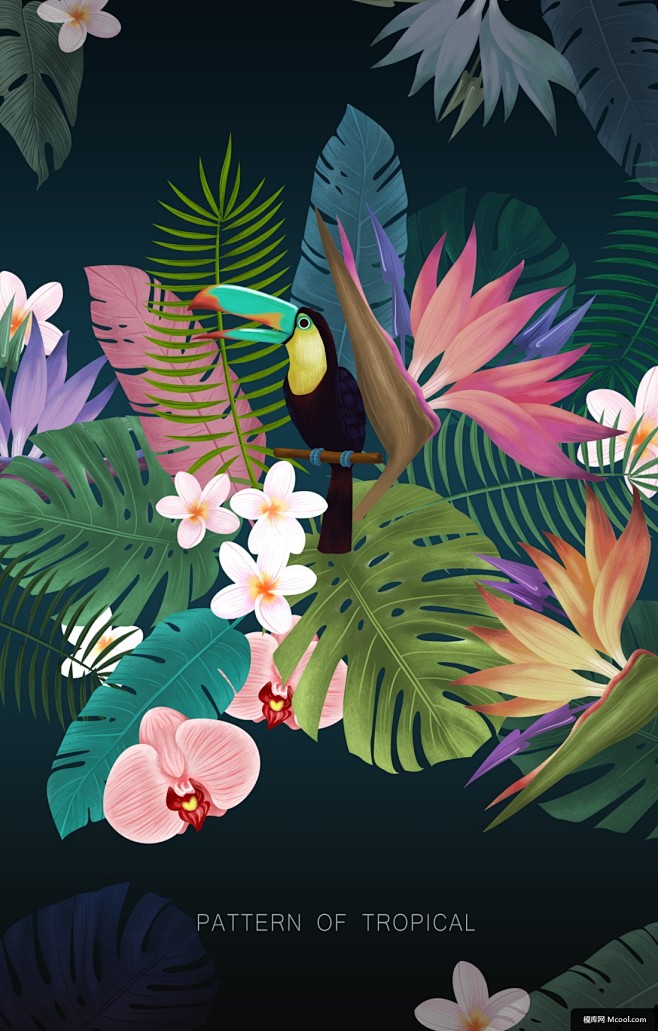 花型丛林动物植物热带丛林插图热带植物插图