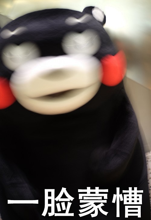 熊本这个蠢货