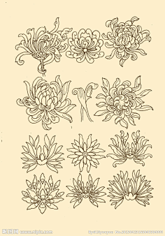 com 菊花纹样源文件