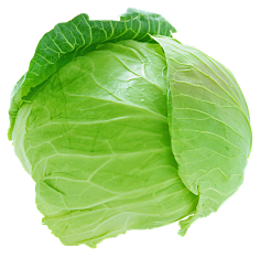 白底_食物-花瓣网|陪你做生活的设计师 食小吃 干果食品360g*2袋