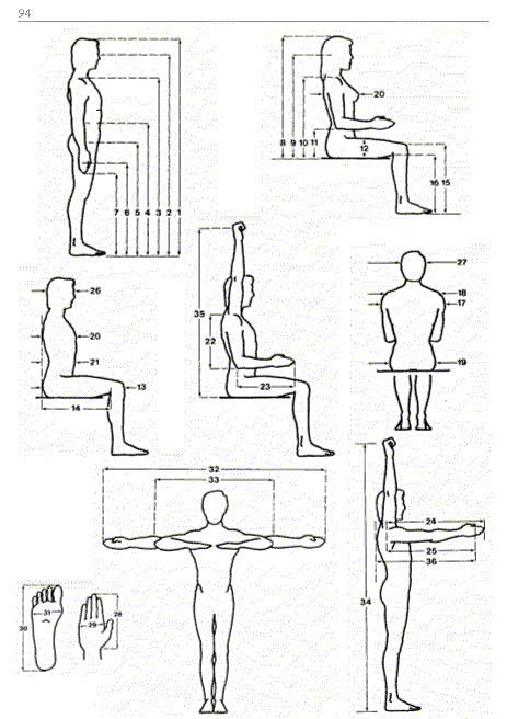 人体工学尺寸