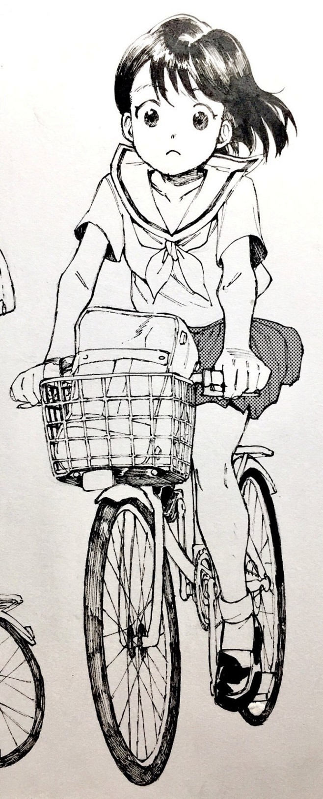 线稿