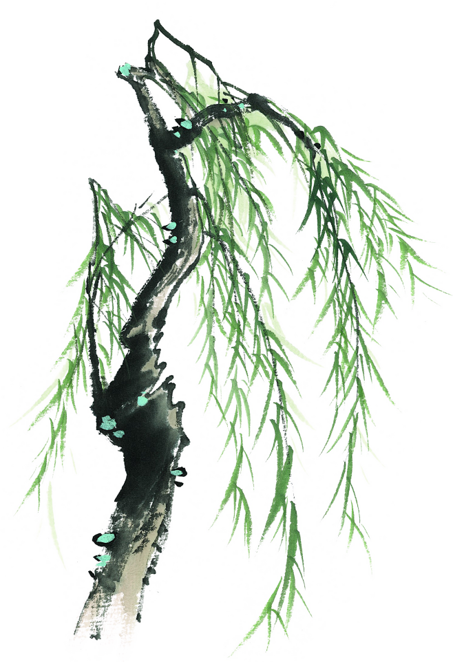 雪梦灯影采集到古风素材,书法 柳树