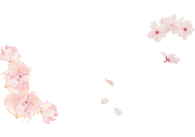 檀兮采集到ps素材  采集 mcool.com 樱花花枝花瓣模板免扣png mcool.