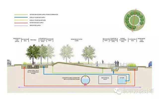 雨水花园圆形花园