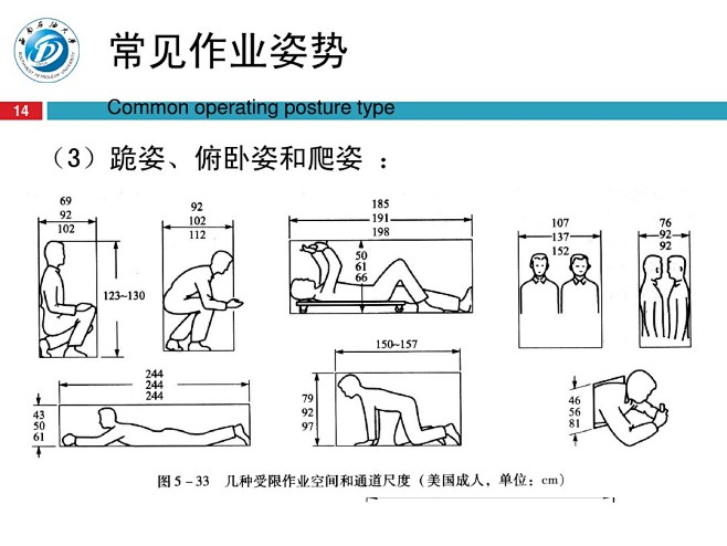 人机工程尺寸