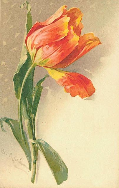 插画手绘碎花花植物郁金香手机壁纸水粉画水彩复古芊茗静语