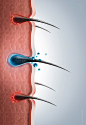 洗护洗发水海报脱发护发头发生长示意注释生理图_psd分层