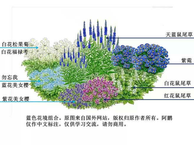 阿鹏花境