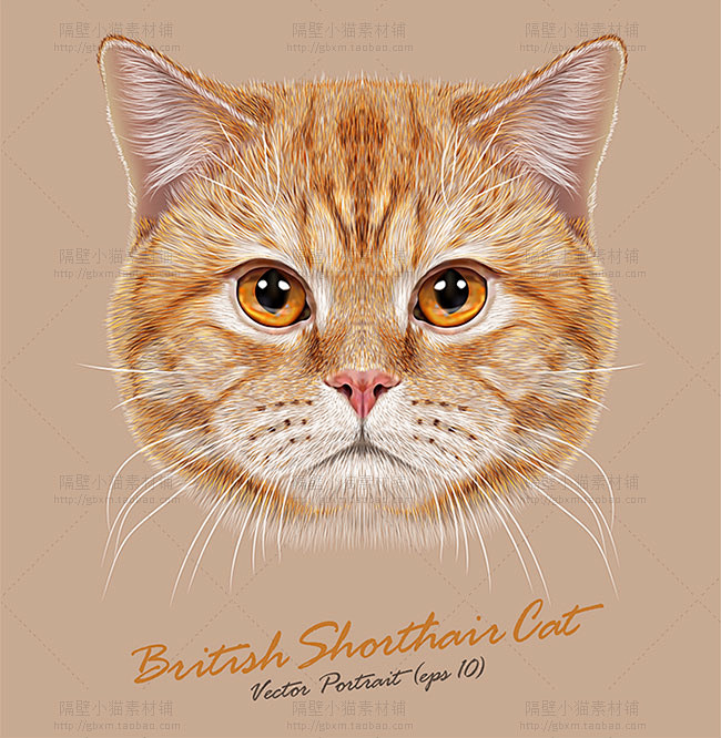 手绘可爱呆萌时尚动物猫咪够老虎头像插画eps矢量设计素材5p淘宝网
