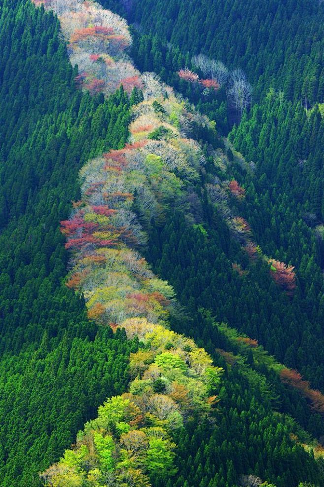 日本一座山的春夏秋冬67676767